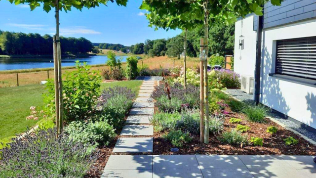 Jardin avec une variété de plantes et arbustes